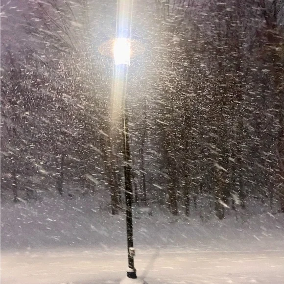 Hello! - Picture 2 of 3